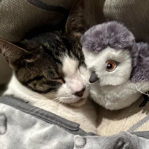 Meet your Posher, Nani